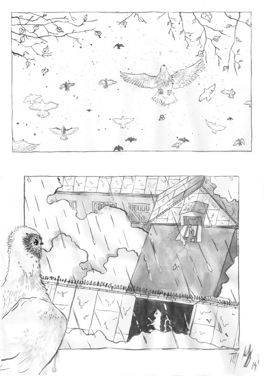 Tvory z Nory comic